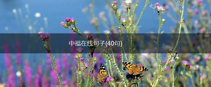 中福在线句子(40句),第1张