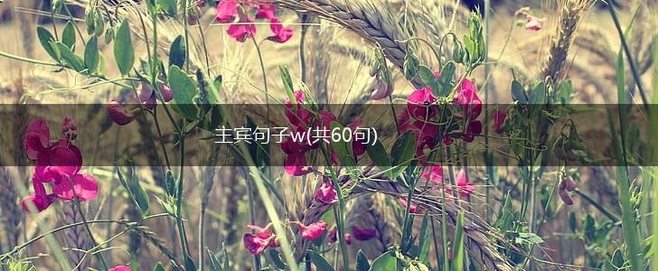 主宾句子w(共60句),第1张