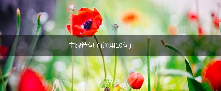 主眼造句子(通用10句),第1张