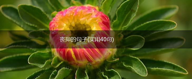 丧抑的句子(实用40句),第1张