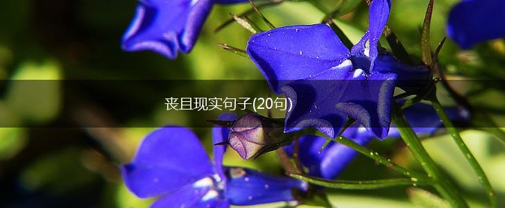 丧且现实句子(20句),第1张