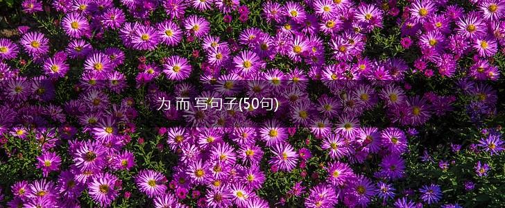 为 而 写句子(50句),第1张
