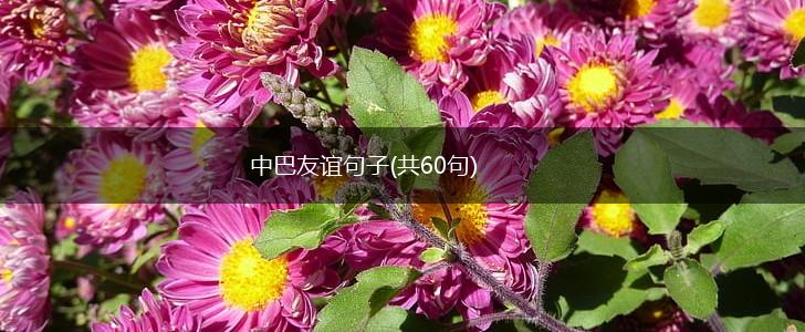 中巴友谊句子(共60句),第1张