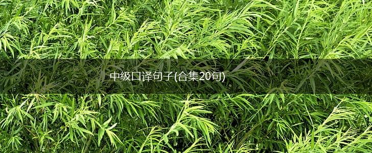 中级口译句子(合集20句),第1张