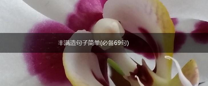丰满造句子简单(必备69句),第1张