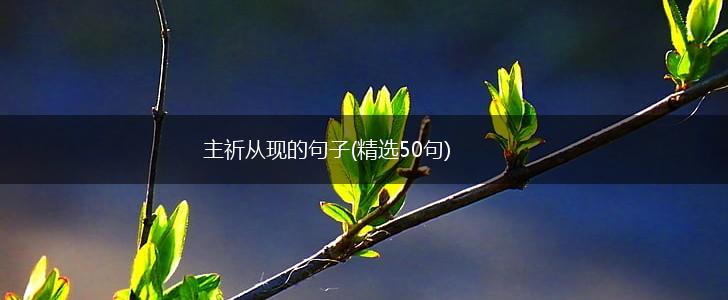 主祈从现的句子(精选50句),第1张