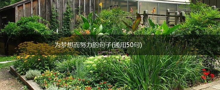 为梦想而努力的句子(通用50句),第1张