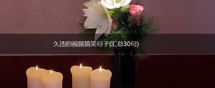 久违的视频搞笑句子(汇总30句),第1张
