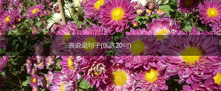 丧说说句子(优选20句),第1张