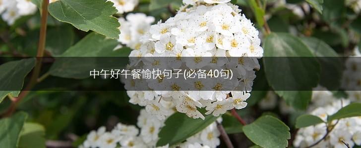 中午好午餐愉快句子(必备40句),第1张