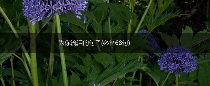 为你流泪的句子(必备68句),第1张