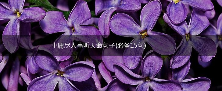 中庸尽人事听天命句子(必备15句),第1张