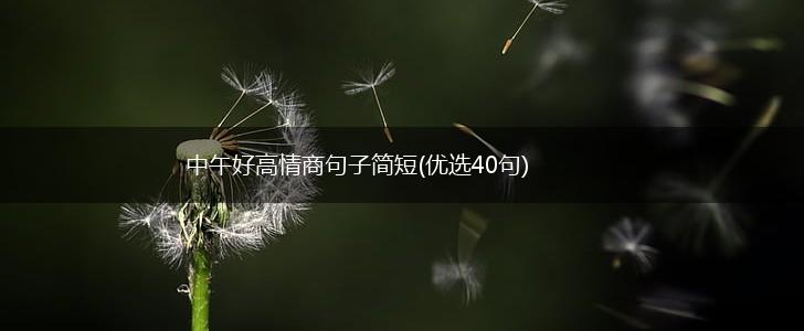 中午好高情商句子简短(优选40句),第1张 中午好高情商句子简短(优选40句),第1张