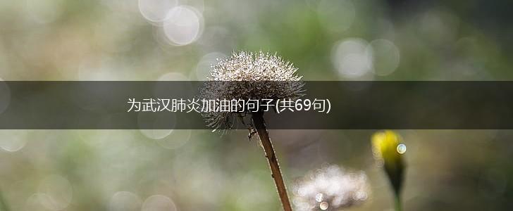 为武汉肺炎加油的句子(共69句),第1张