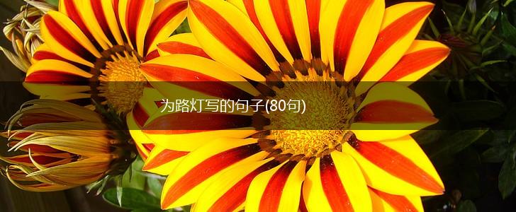 为路灯写的句子(80句),第1张