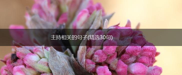 主持相关的句子(精选30句),第1张