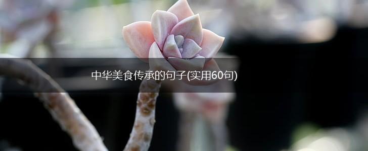 中华美食传承的句子(实用60句),第1张