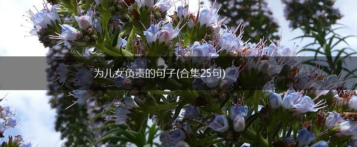 为儿女负责的句子(合集25句),第1张
