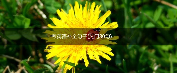 中考英语补全句子(热门80句),第1张