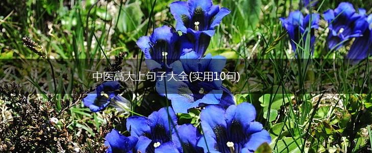 中医高大上句子大全(实用10句),第1张