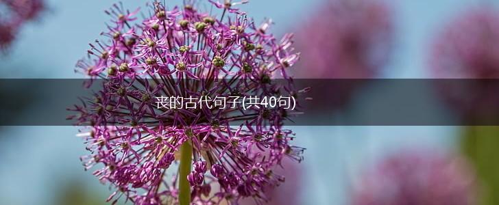 丧的古代句子(共40句),第1张