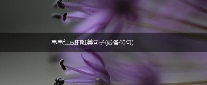 串串红豆的唯美句子(必备40句),第1张