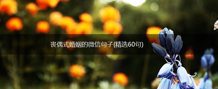 丧偶式婚姻的微信句子(精选60句),第1张