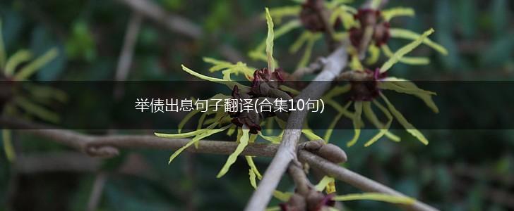 举债出息句子翻译(合集10句),第1张