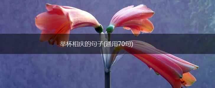 举杯相庆的句子(通用70句),第1张