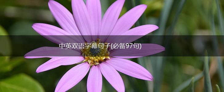中英双语字幕句子(必备97句),第1张