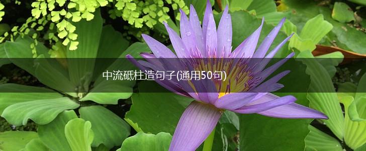 中流砥柱造句子(通用50句),第1张
