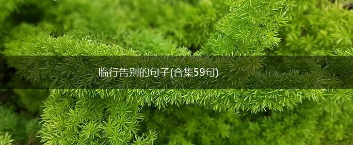 临行告别的句子(合集59句),第1张
