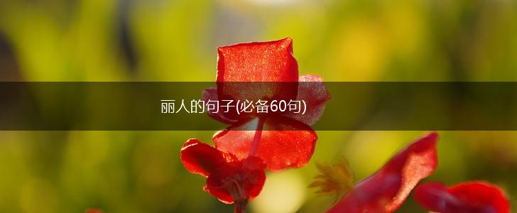 丽人的句子(必备60句),第1张