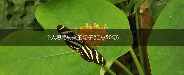 个人思路转变的句子(汇总50句),第1张