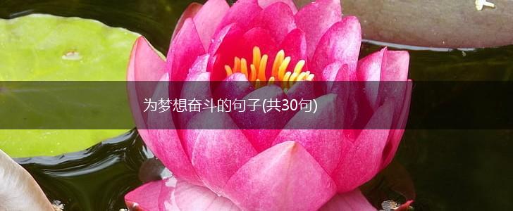 为梦想奋斗的句子(共30句),第1张