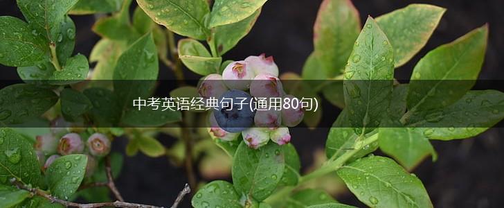 中考英语经典句子(通用80句),第1张