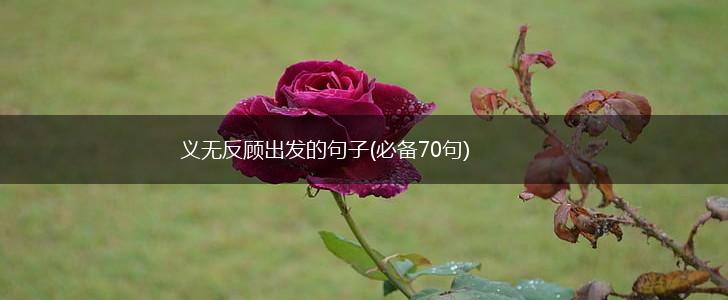 义无反顾出发的句子(必备70句),第1张