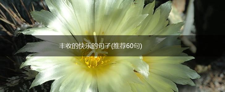 丰收的快乐的句子(推荐60句),第1张