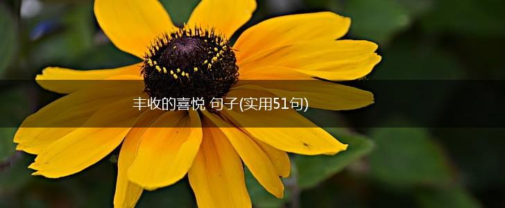 丰收的喜悦 句子(实用51句),第1张