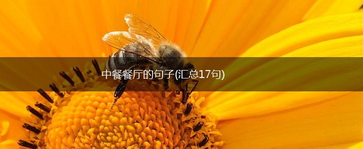 中餐餐厅的句子(汇总17句),第1张