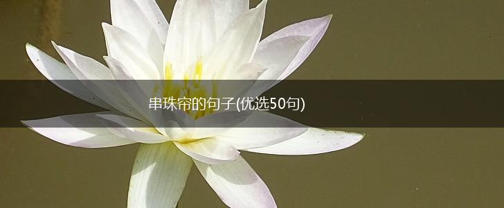 串珠帘的句子(优选50句),第1张