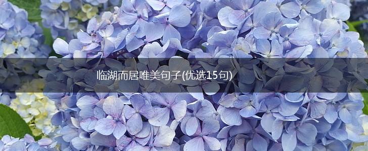 临湖而居唯美句子(优选15句),第1张