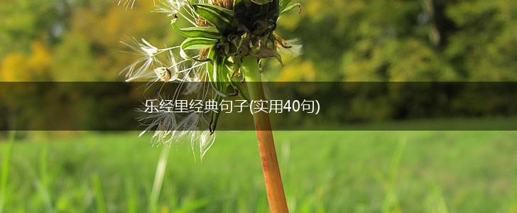 乐经里经典句子(实用40句),第1张