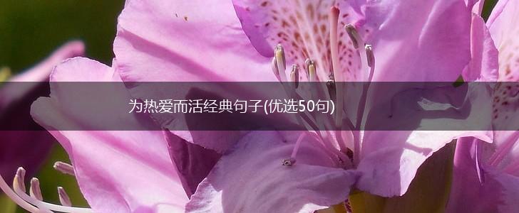 为热爱而活经典句子(优选50句),第1张