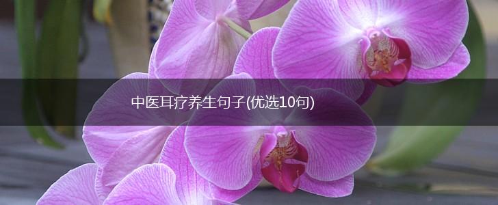 中医耳疗养生句子(优选10句),第1张
