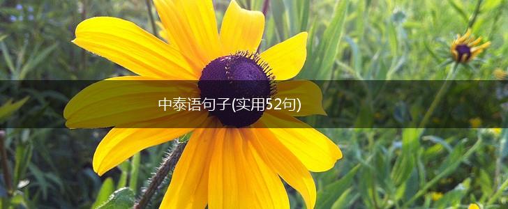 中泰语句子(实用52句),第1张