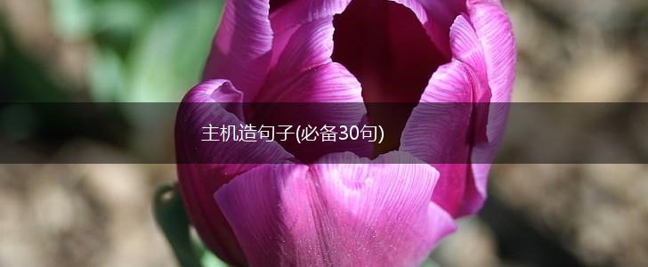 主机造句子(必备30句),第1张