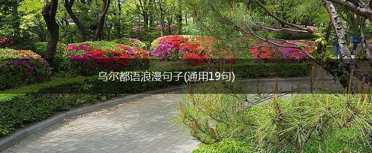 乌尔都语浪漫句子(通用19句),第1张