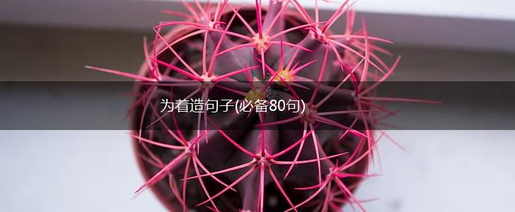 为着造句子(必备80句),第1张