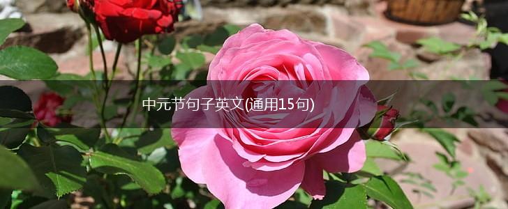 中元节句子英文(通用15句),第1张